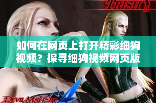 如何在網(wǎng)頁(yè)上打開(kāi)精彩細(xì)狗視頻？探尋細(xì)狗視頻網(wǎng)頁(yè)版的方法