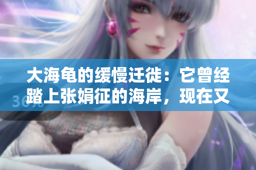 大海龜?shù)木徛w徙：它曾經(jīng)踏上張娟征的海岸，現(xiàn)在又歸來了！