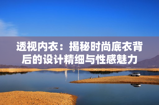 透視內衣：揭秘時尚底衣背后的設計精細與性感魅力