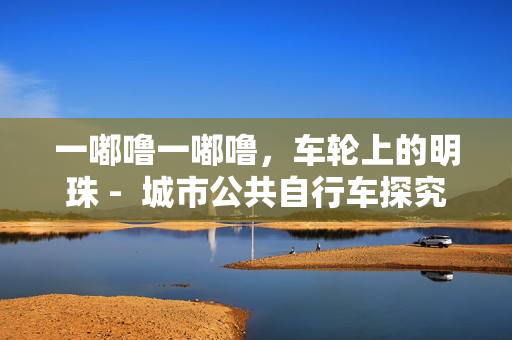 一嘟嚕一嘟嚕，車輪上的明珠 -  城市公共自行車探究
