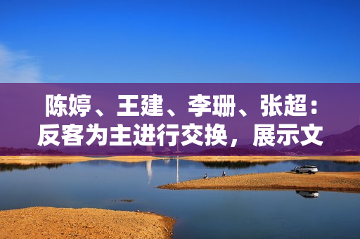 陳婷、王建、李珊、張超：反客為主進行交換，展示文化多樣性的魅力