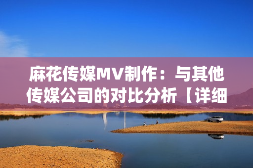 麻花傳媒MV制作：與其他傳媒公司的對比分析【詳細(xì)比較】(1)