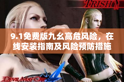 9.1免費版九幺高危風險，在線安裝指南及風險預防措施