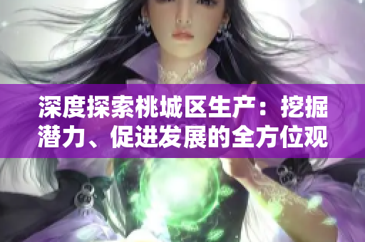 深度探索桃城區(qū)生產(chǎn)：挖掘潛力、促進發(fā)展的全方位觀察分析