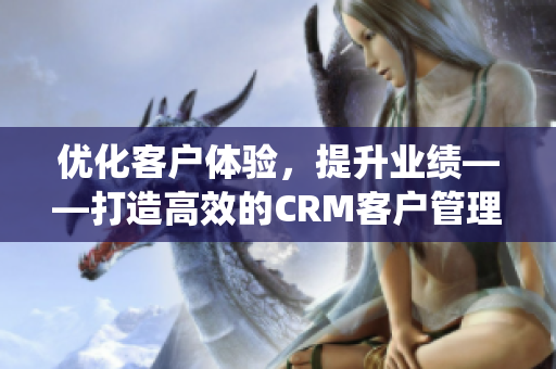 優(yōu)化客戶體驗，提升業(yè)績——打造高效的CRM客戶管理系統(tǒng)
