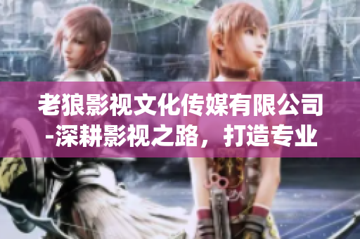 老狼影視文化傳媒有限公司-深耕影視之路，打造專業(yè)文化傳媒平臺(1)