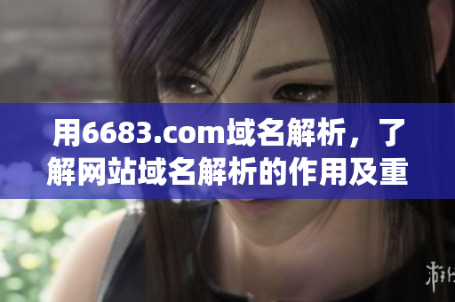用6683.com域名解析，了解網站域名解析的作用及重要性(1)
