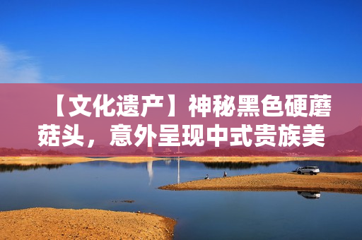 【文化遺產(chǎn)】神秘黑色硬蘑菇頭，意外呈現(xiàn)中式貴族美學(xué)！