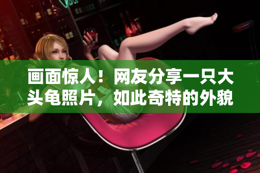畫面驚人！網(wǎng)友分享一只大頭龜照片，如此奇特的外貌讓人大呼驚奇