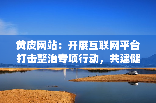 黃皮網(wǎng)站：開(kāi)展互聯(lián)網(wǎng)平臺(tái)打擊整治專(zhuān)項(xiàng)行動(dòng)，共建健康網(wǎng)絡(luò)環(huán)境(1)