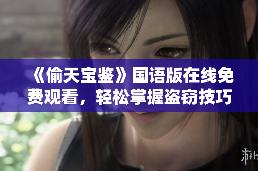 《偷天寶鑒》國語版在線免費(fèi)觀看，輕松掌握盜竊技巧！