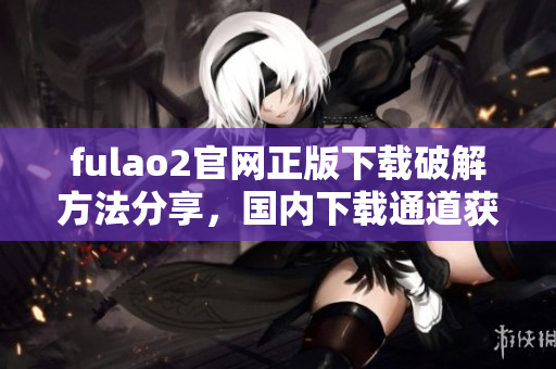 fulao2官網(wǎng)正版下載破解方法分享，國內(nèi)下載通道獲取技巧