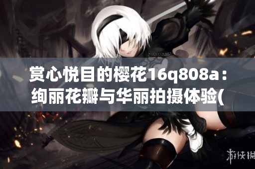 賞心悅目的櫻花16q808a：絢麗花瓣與華麗拍攝體驗(1)
