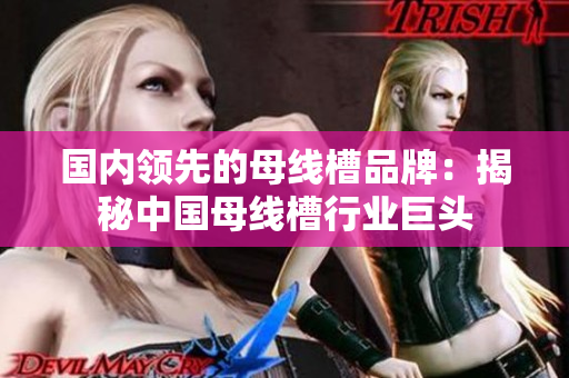 國內(nèi)領先的母線槽品牌：揭秘中國母線槽行業(yè)巨頭