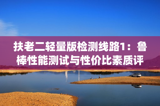 扶老二輕量版檢測線路1：魯棒性能測試與性價比素質評估(1)
