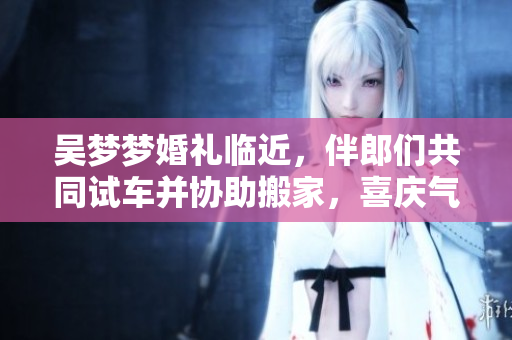 吳夢夢婚禮臨近，伴郎們共同試車并協(xié)助搬家，喜慶氣氛彌漫
