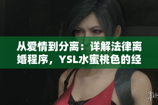 從愛情到分離：詳解法律離婚程序，YSL水蜜桃色的經典之選