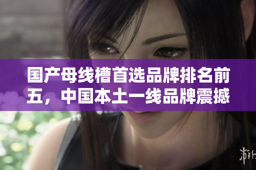 國(guó)產(chǎn)母線槽首選品牌排名前五，中國(guó)本土一線品牌震撼登場(chǎng)