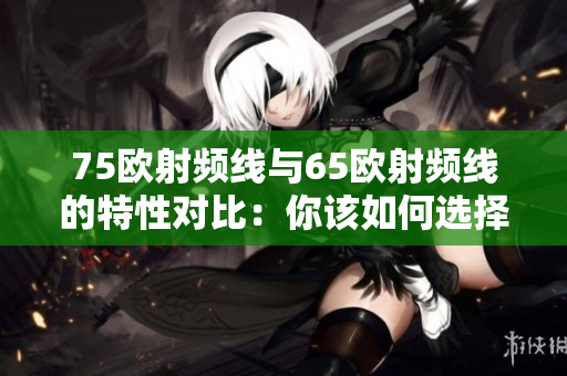 75歐射頻線與65歐射頻線的特性對比：你該如何選擇？
