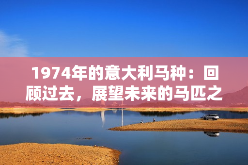 1974年的意大利馬種：回顧過(guò)去，展望未來(lái)的馬匹之旅