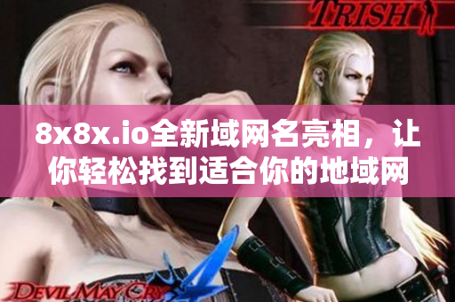 8x8x.io全新域網(wǎng)名亮相，讓你輕松找到適合你的地域網(wǎng)名