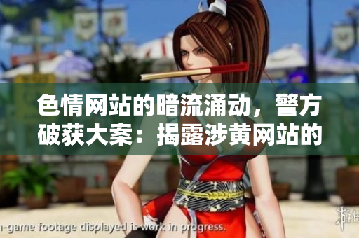 色情網(wǎng)站的暗流涌動(dòng)，警方破獲大案：揭露涉黃網(wǎng)站的黑幕