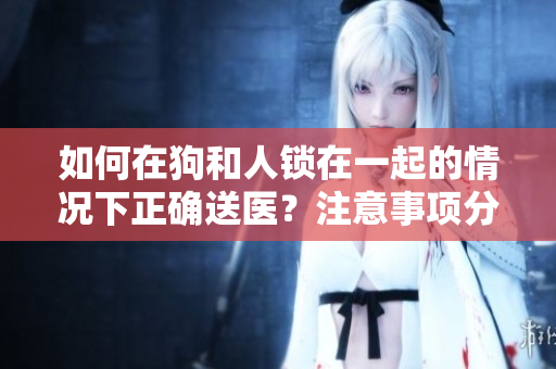 如何在狗和人鎖在一起的情況下正確送醫(yī)？注意事項(xiàng)分享！
