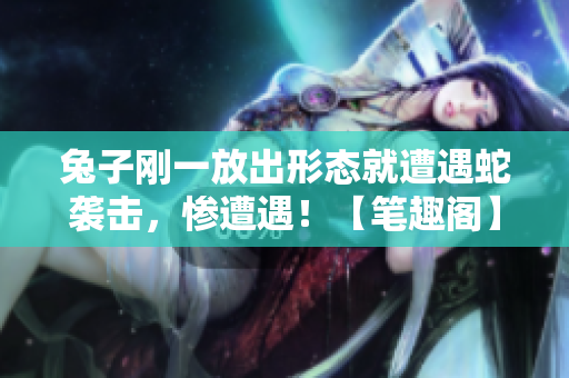 兔子剛一放出形態(tài)就遭遇蛇襲擊，慘遭遇！【筆趣閣】