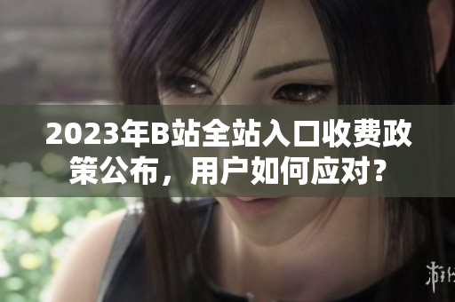 2023年B站全站入口收費(fèi)政策公布，用戶如何應(yīng)對(duì)？