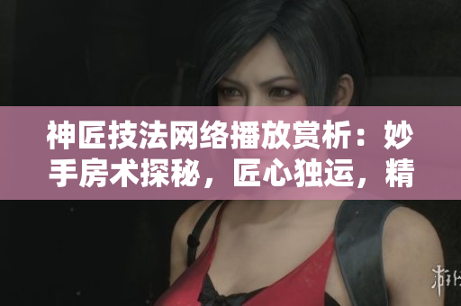 神匠技法網(wǎng)絡(luò)播放賞析：妙手房術(shù)探秘，匠心獨(dú)運(yùn)，精彩前所未有