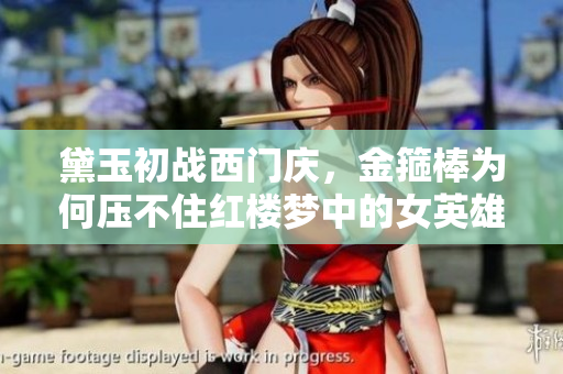 黛玉初戰(zhàn)西門慶，金箍棒為何壓不住紅樓夢(mèng)中的女英雄？