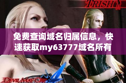 免費查詢域名歸屬信息，快速獲取my63777域名所有者信息