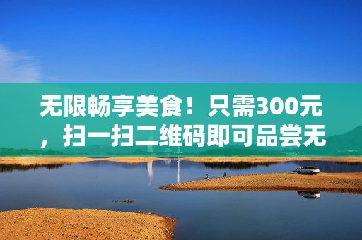 無限暢享美食！只需300元，掃一掃二維碼即可品嘗無數(shù)道快餐