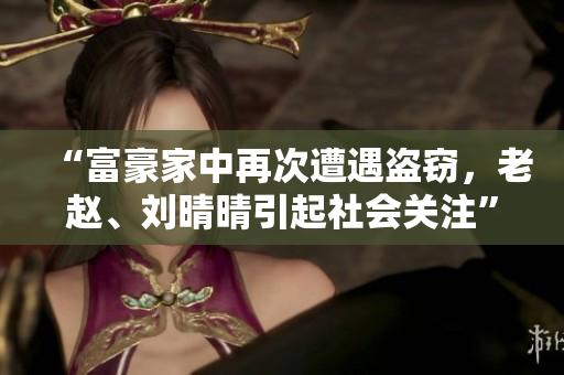“富豪家中再次遭遇盜竊，老趙、劉晴晴引起社會關(guān)注”