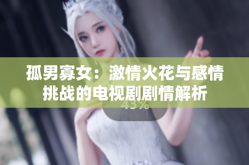 孤男寡女：激情火花與感情挑戰(zhàn)的電視劇劇情解析