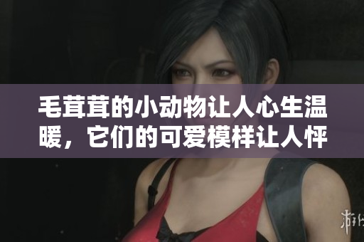 毛茸茸的小動物讓人心生溫暖，它們的可愛模樣讓人怦然心動