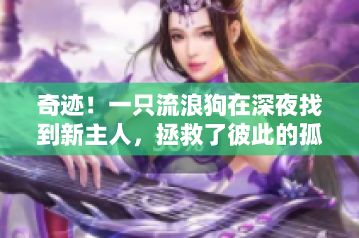 奇跡！一只流浪狗在深夜找到新主人，拯救了彼此的孤獨(dú)與寂寞