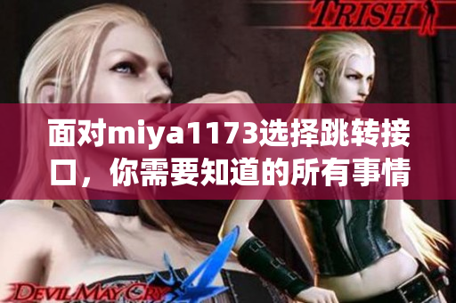 面對(duì)miya1173選擇跳轉(zhuǎn)接口，你需要知道的所有事情
