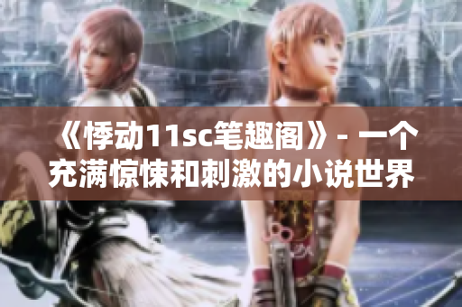 《悸動11sc筆趣閣》- 一個充滿驚悚和刺激的小說世界