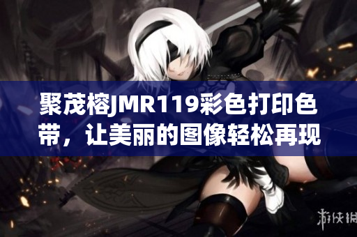 聚茂榕JMR119彩色打印色帶，讓美麗的圖像輕松再現(xiàn)