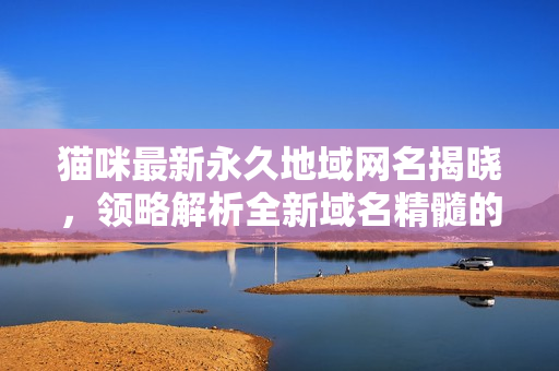 貓咪最新永久地域網(wǎng)名揭曉，領(lǐng)略解析全新域名精髓的方法