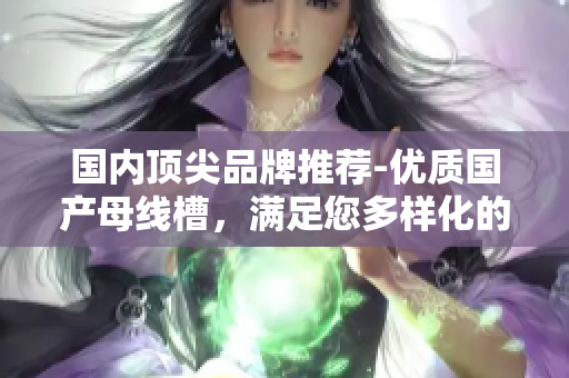 國內頂尖品牌推薦-優(yōu)質國產母線槽，滿足您多樣化的電力配電需求！