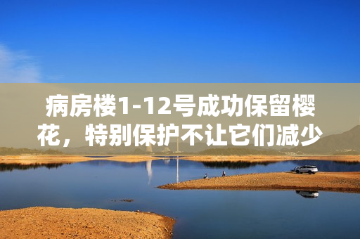 病房樓1-12號(hào)成功保留櫻花，特別保護(hù)不讓它們減少