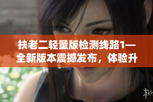 扶老二輕量版檢測(cè)線路1—全新版本震撼發(fā)布，體驗(yàn)升級(jí)驚喜不斷(1)