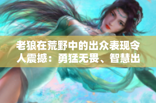 老狼在荒野中的出眾表現(xiàn)令人震撼：勇猛無畏、智慧出眾！