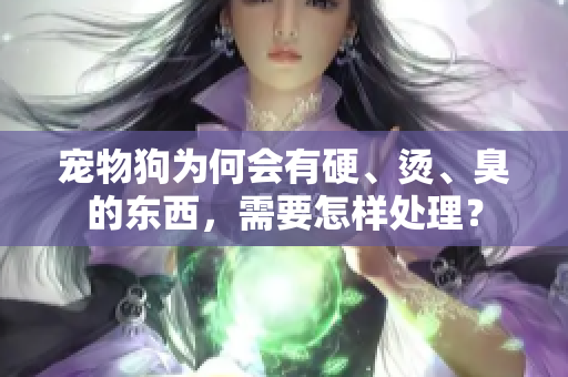 寵物狗為何會有硬、燙、臭的東西，需要怎樣處理？