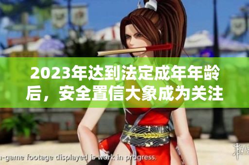 2023年達(dá)到法定成年年齡后，安全置信大象成為關(guān)注焦點(diǎn)