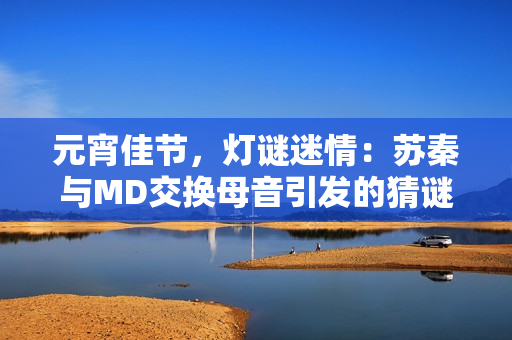 元宵佳節(jié)，燈謎迷情：蘇秦與MD交換母音引發(fā)的猜謎新風(fēng)潮