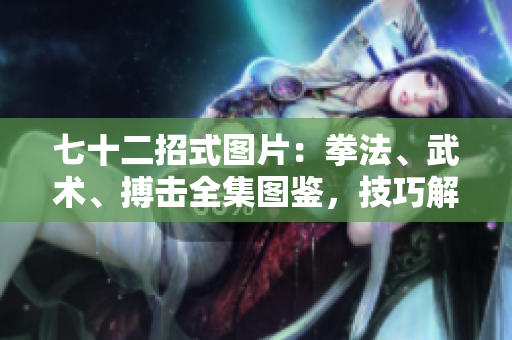 七十二招式圖片：拳法、武術(shù)、搏擊全集圖鑒，技巧解析與實(shí)戰(zhàn)示范