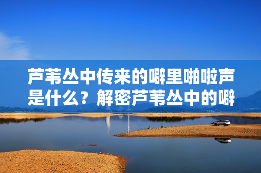 蘆葦叢中傳來的噼里啪啦聲是什么？解密蘆葦叢中的噼里啪啦聲音